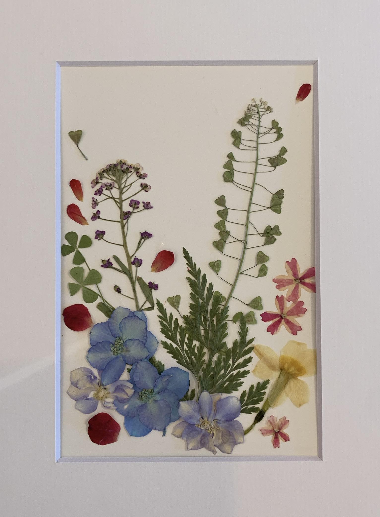 Framed pressed Flowers