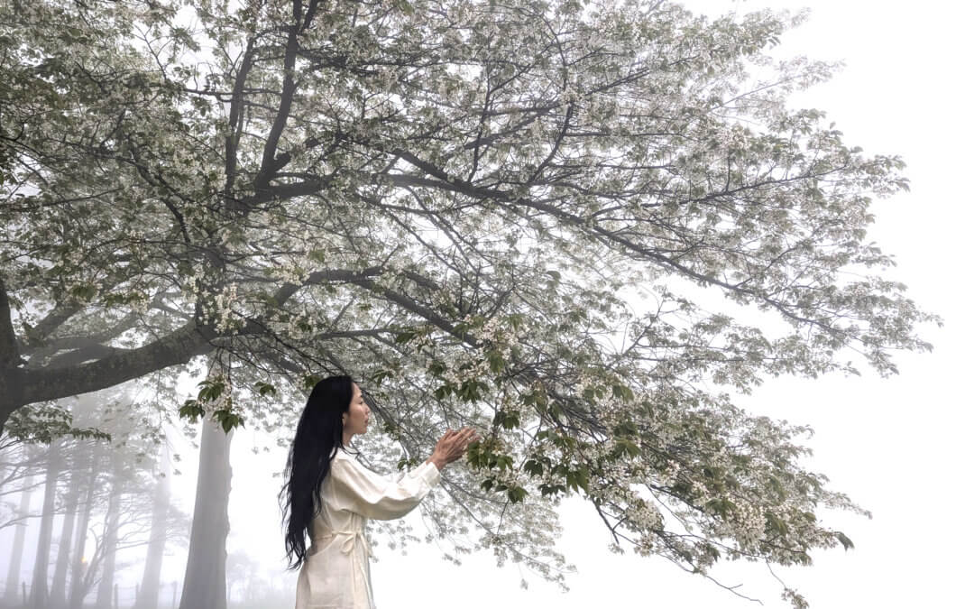 “Memories of Love, Water, the Sacred Feminine, and the Power of words”: toward the 2026 Exhibition