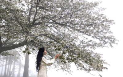 “Memories of Love, Water, the Sacred Feminine, and the Power of words”: toward the 2026 Exhibition