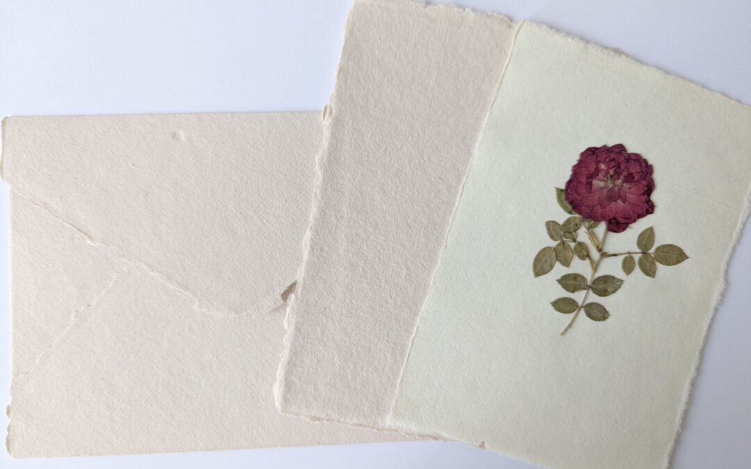 Flowers of Peace and Hope: a reflection held within a single pressed flower